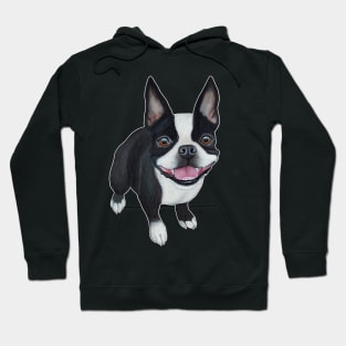 Boston Terrier Hoodie